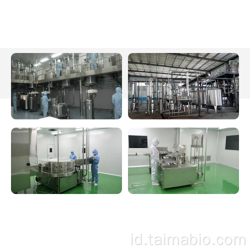 100% pemanis alami bubuk stachyose
